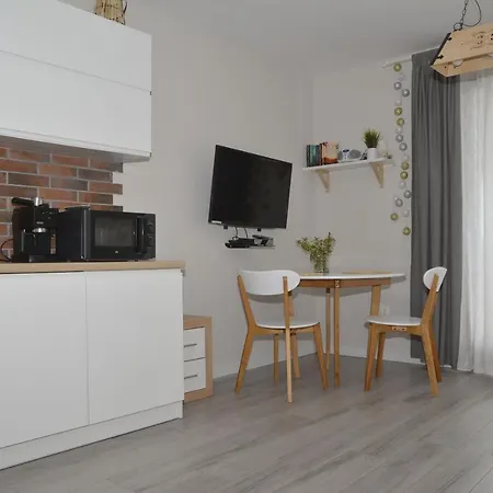 Apartment Homole